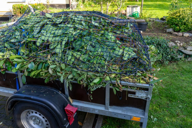 Best Same-Day Junk Removal Services  in Onsted, MI